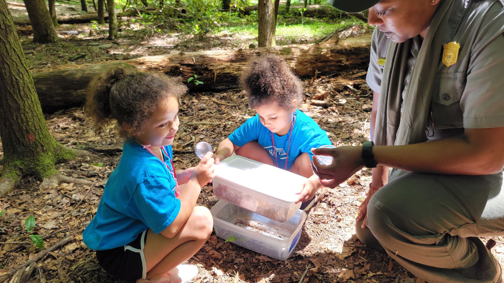 20232024 NPS21st CCLC Greening STEM Grants The National